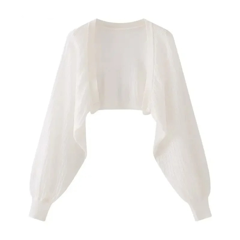 Vintage Sheer Mesh Cropped Car - Crop Cardigan Vintage recensie en prijs